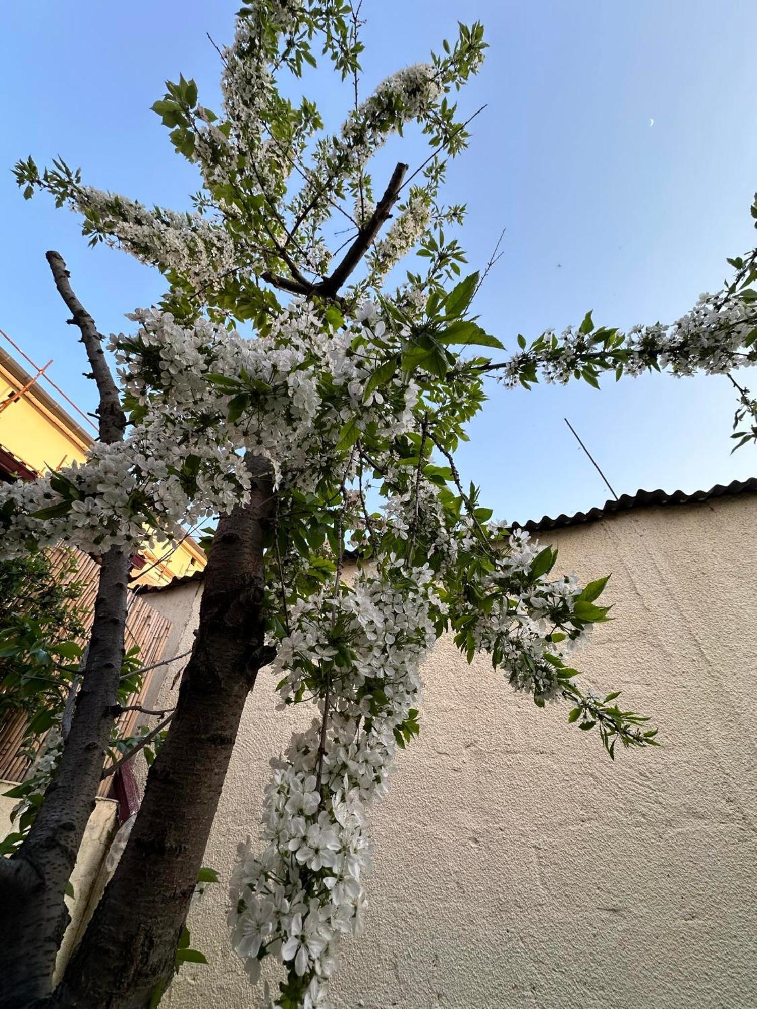 Popock City Center 예레반 외부 사진