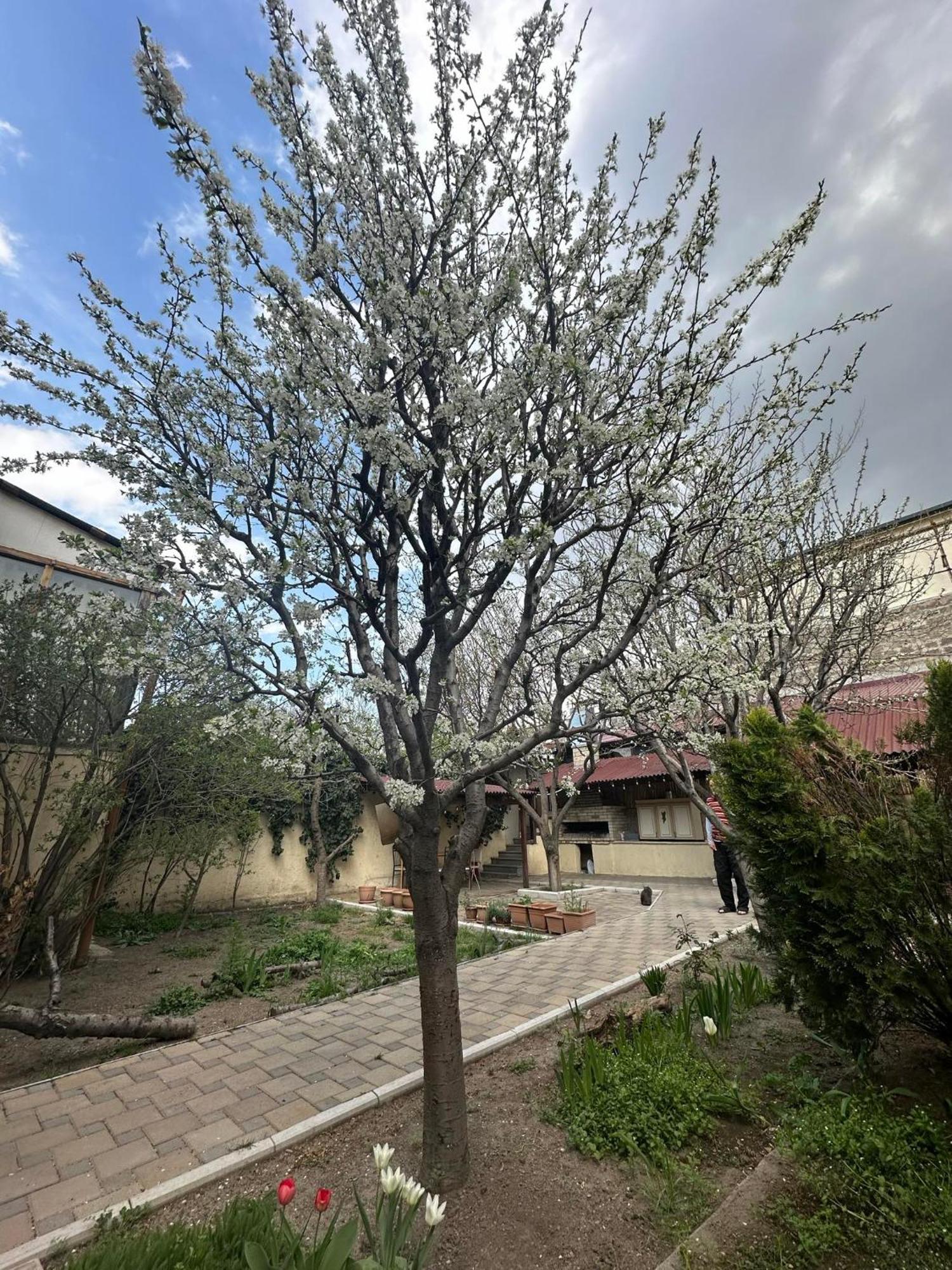 Popock City Center 예레반 외부 사진